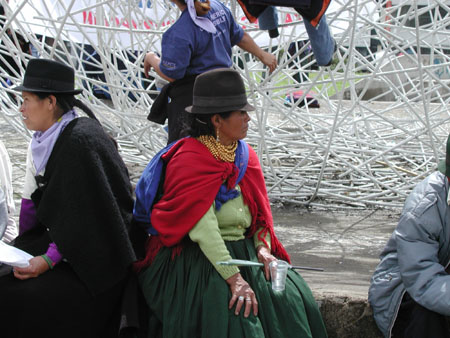 Parque el Arbolito
