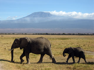 Mt. Kilimanjaro