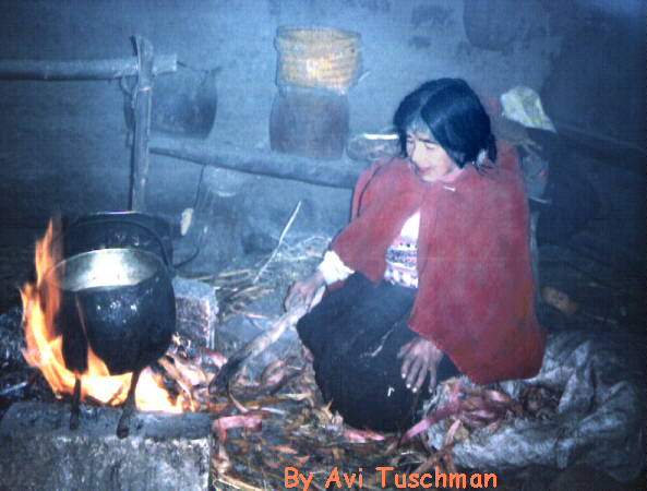 http://www.andes.org/graphic/COOKING.html