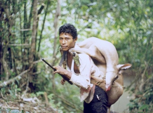 Source:http://www.cs.fiu.edu/~lespin03/nica/indians.html
